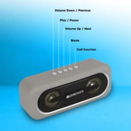 Zebronics Zeb Delight 20 bluetooth speaker